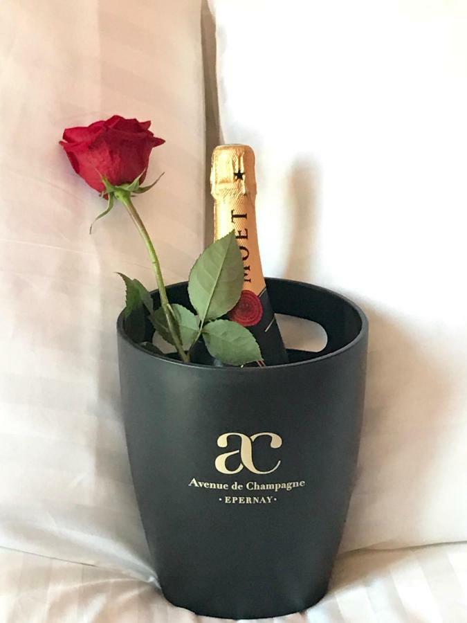 Apartament La Bulle De Champagne Épernay Zewnętrze zdjęcie